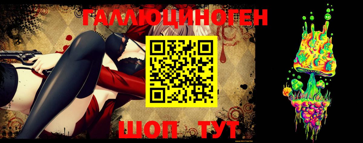 Псилоцибиновые грибы Psilocybe Саров